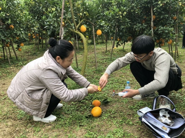 德保县人口状况_婚育收养 德保县人民政府门户网站