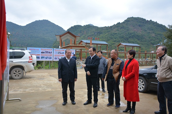 广西百色市田阳县有多少人口_广西田阳县坡洪镇图片(2)