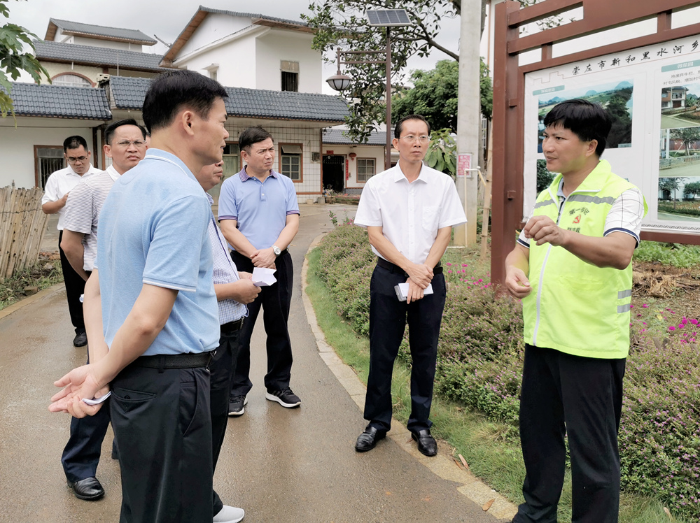 图为考察组在崇左市江州区新和镇卜花村调研图为考察组在南宁市隆安县