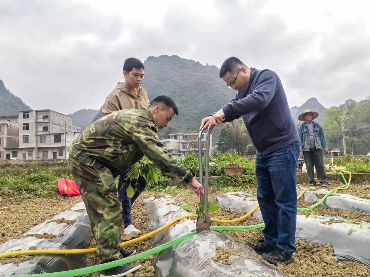 靖西市荣劳乡图片