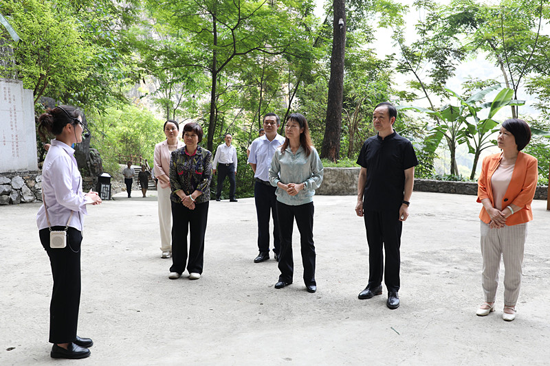 崇左市人大常委会考察组到百色考察康养旅居、职业教育产教融合、人工智能、养老事业和养老产业发展情况