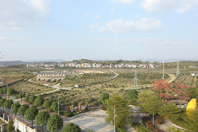 微信图片_2026-05-19_082240_493.png