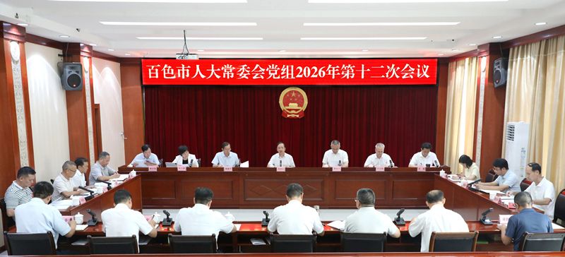 市人大常委会党组召开会议强调：以习近平党建思想定向领航 精准履职助力百色高质量发展