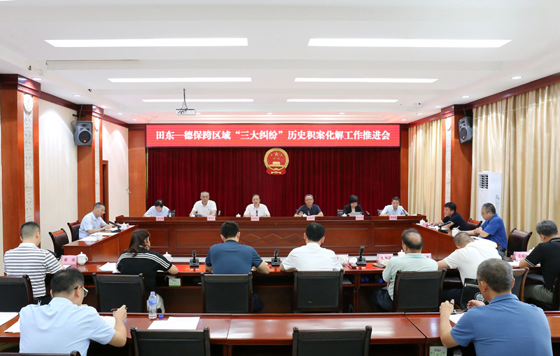 田东德保跨区域“三大纠纷”历史积案化解工作推进会在百色召开
