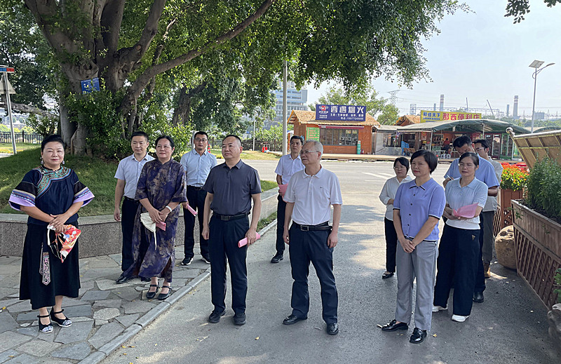 自治区人大常委会调研组到百色开展《广西壮族自治区优化营商环境条例》执法检查报告及审议意见研究处理情况跟踪检查调研