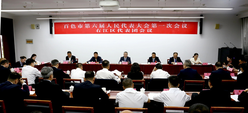 黄琛参加右江区代表团审议
