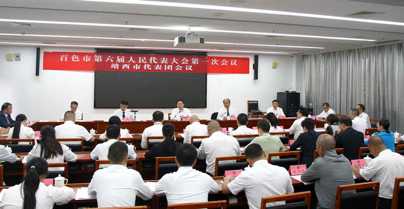 郑胜景到靖西市代表团.jpg
