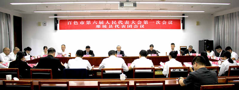 刁卫宏到那坡县代表团.jpg