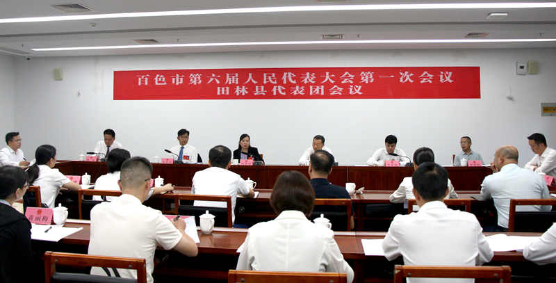 官海琼到田林县代表团.jpg
