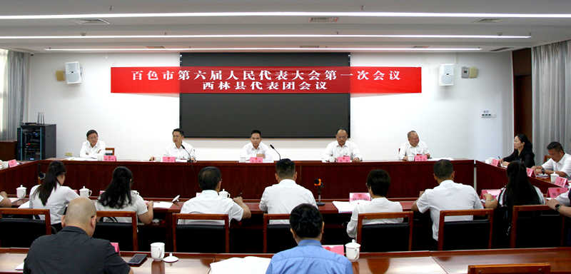 李登科到西林县代表团.jpg
